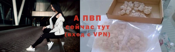 мяу мяу мука Беломорск