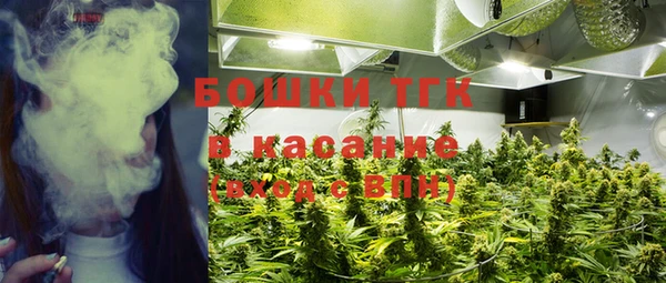 мяу мяу мука Беломорск