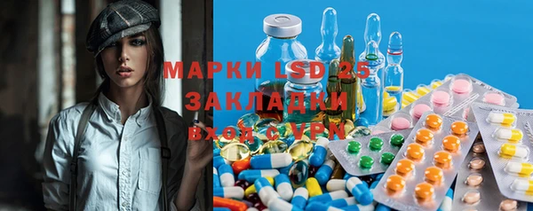 мяу мяу мука Беломорск