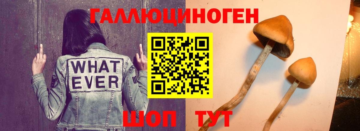 Псилоцибиновые грибы мухоморы Сегежа